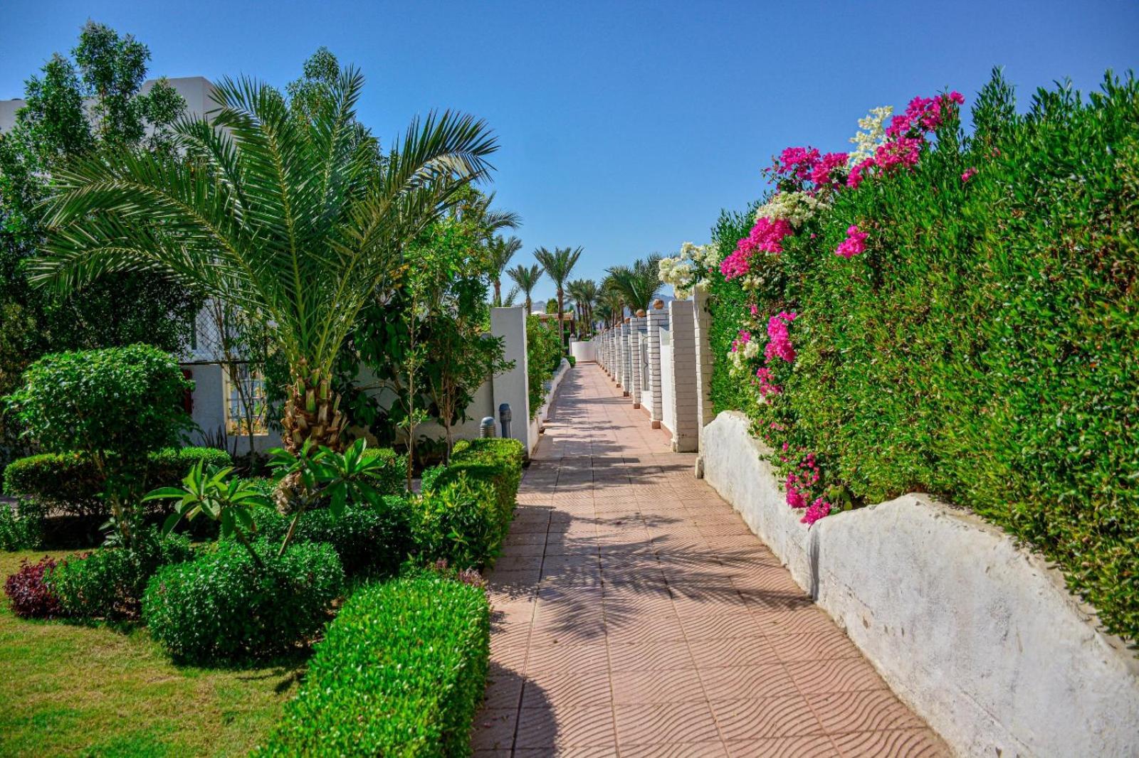 Desert View Sharm Hotel Εξωτερικό φωτογραφία
